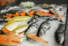 Jatial Fish Trading