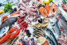 Fish Mart