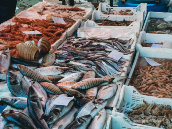 Khalifa Al Ayyali Fish Stall