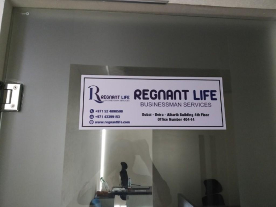 Regnant Life Businessmen Services