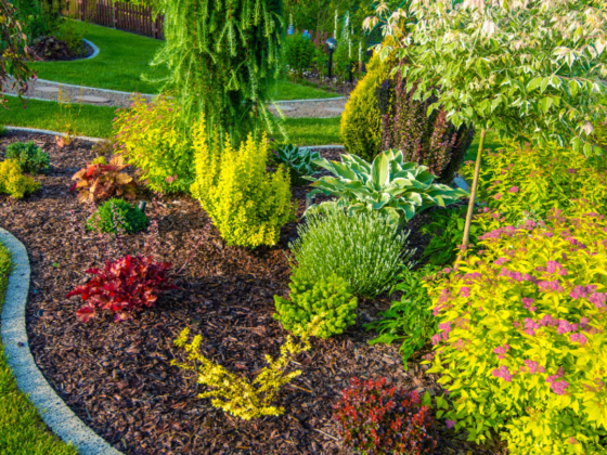 Nabi Bakhsh Landscape & Gardening Works & Maintenance