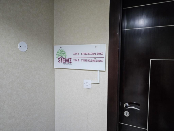 Stemz Global