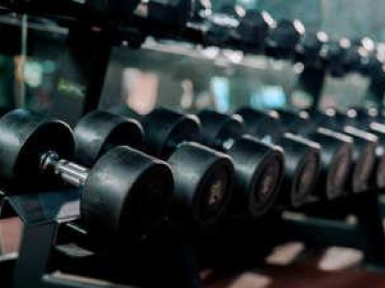 1441 Sports & Fitness Trading