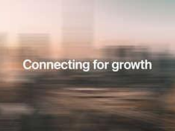 Beehive Fintech