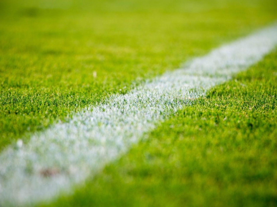 Football Pitch - Living Legends