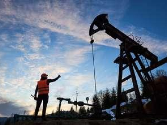Petroleum Technical Equipment DMCC