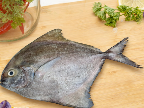 Faisal Abdulla Seafood Processing