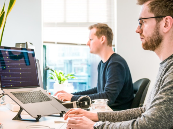 Blueminds Executive Services