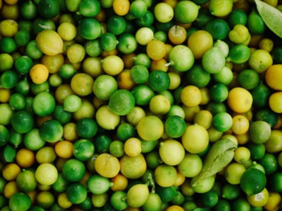 West Food Trade