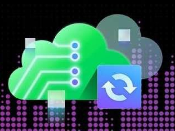 Veeam Software