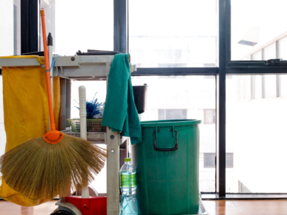 Pretty Home Cleaning Services