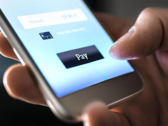 Petals Payment Technology Co. L.l.c