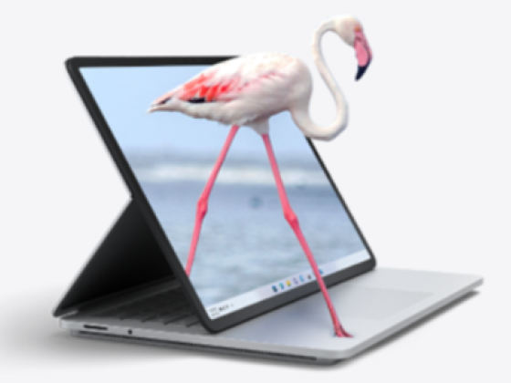 Dubai Website Design