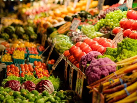 Mohammed Ibrahim Foodstuff Trading