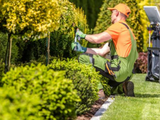 Al Ardh Al Jamela Landscape & Gardening