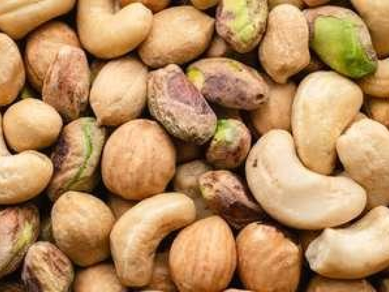 Alem Al Bihar Goods Wholesalers