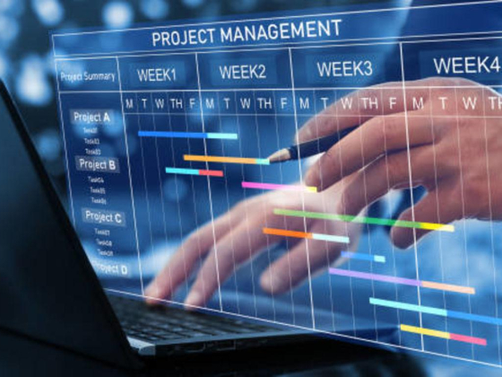 Vault Tree Project Management Services