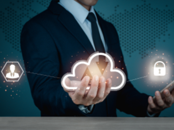 Savvy Data Cloud Consulting