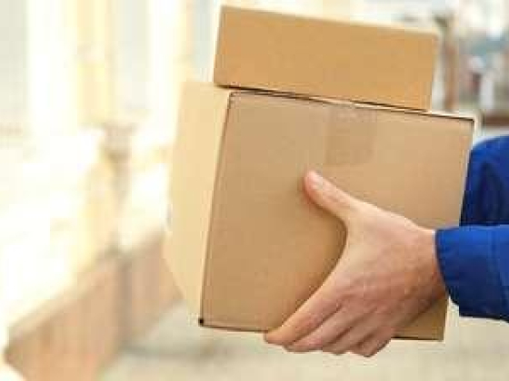 Vega Links Delivery Services