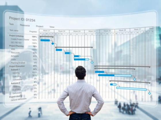 Abanoos For Project Management Services