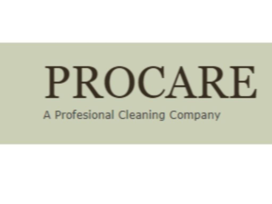 Procare Executive Services