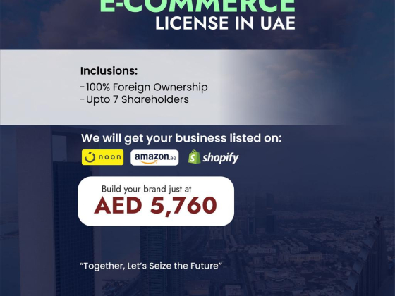 Krezko Corporate Services Provider