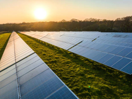 Felicity Solar Trading