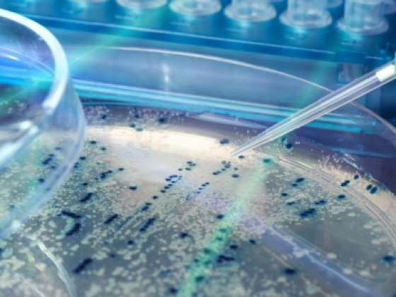 MBRU Biomedical Research Center