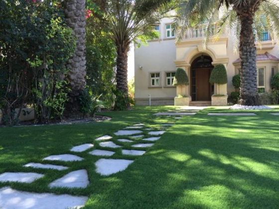Green Vision Landscaping