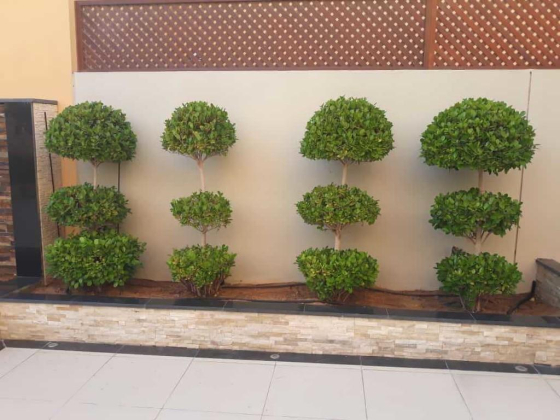 TARIQ KHAN LANDSCAPE AND MAINTENANCE L.L.C