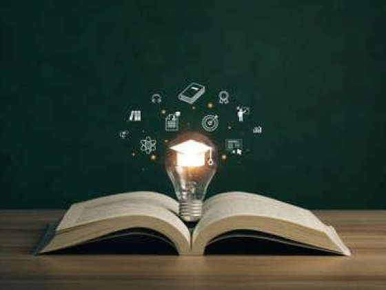 Albyan Institute Education Support Services