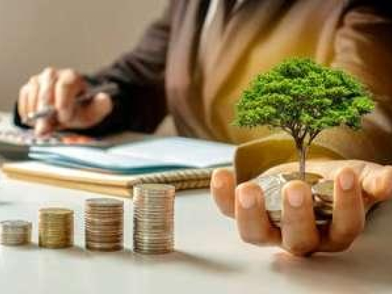 MA Investments LTD