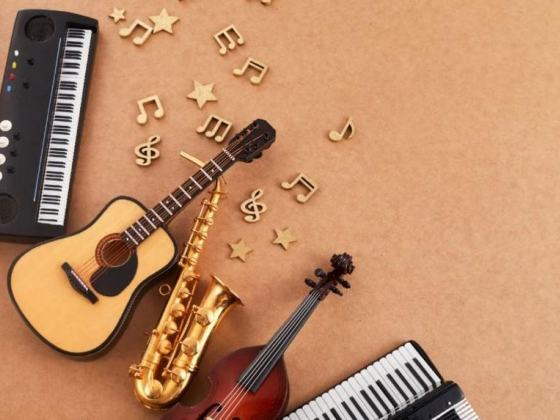 Top Colours Musical Instruments & Requisites Trading