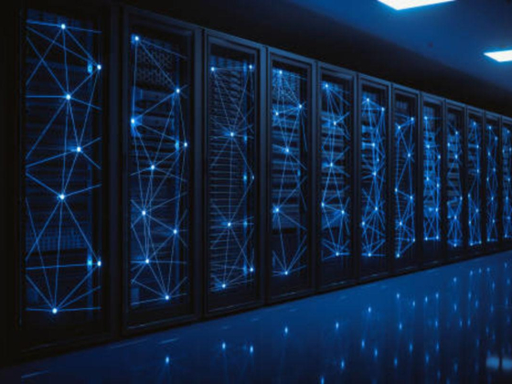 Codex For Information Technology Network Services