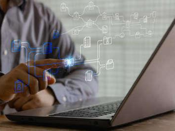 Codex For Information Technology Network Services