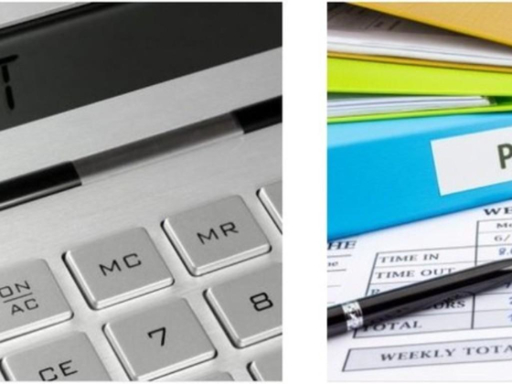 Monitor Auditing & Accounting