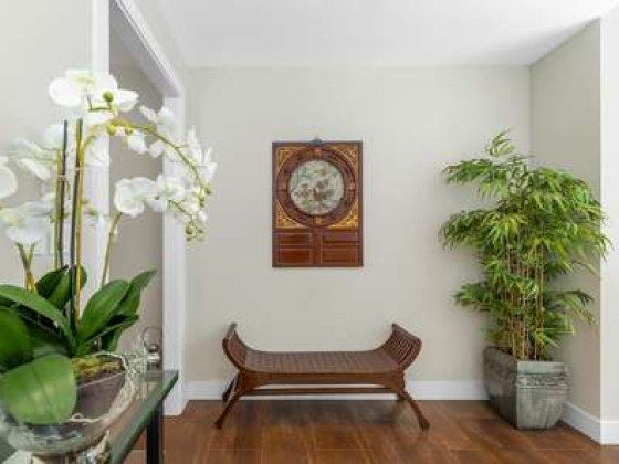 Mapletree Center Psychotherapy