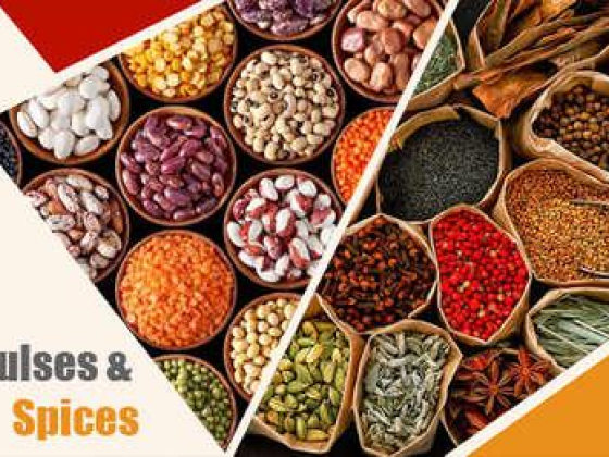 Grains Ocean Foodstuff Trading
