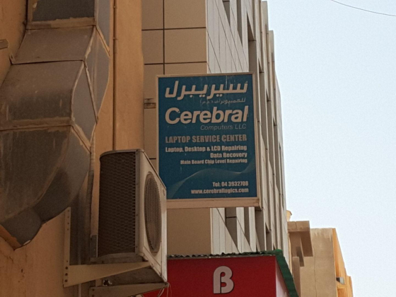 Cerebral Computers