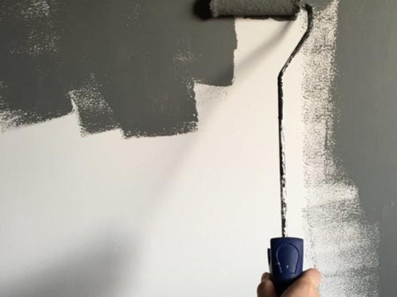 Royal Scorpion Painting Contracting