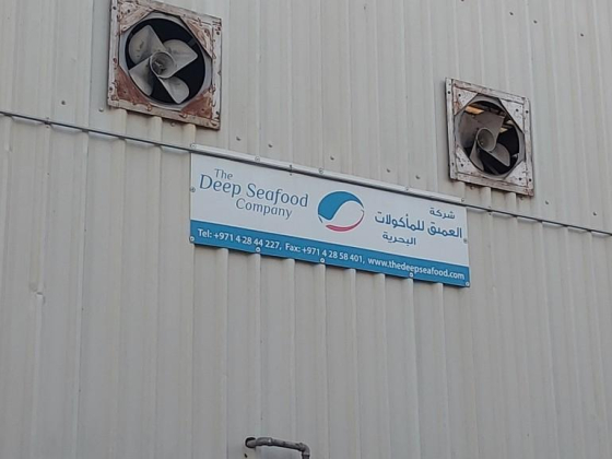 The Deep Seafood Company