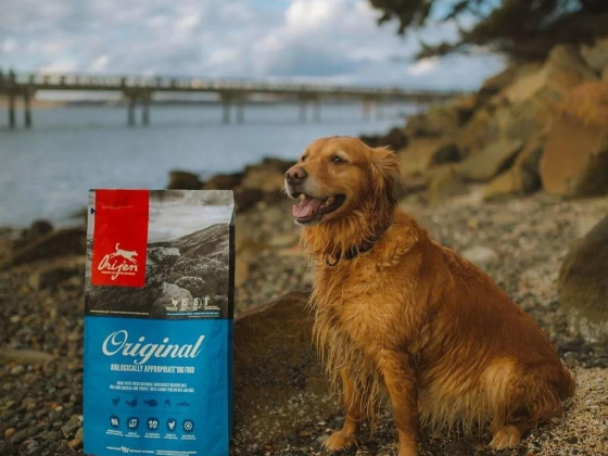 Petpro Animal Feed Trading