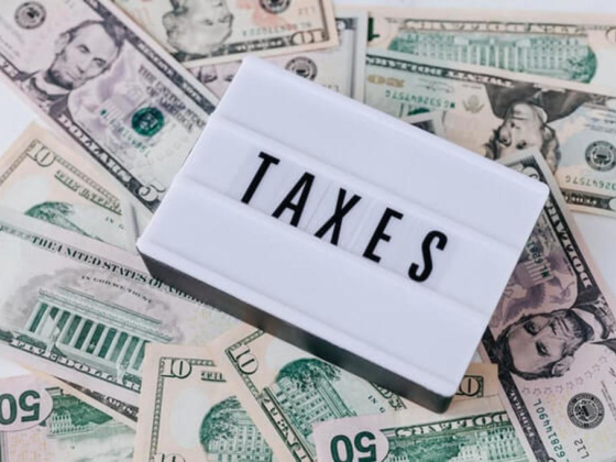 Auditco Gold For Tax Consultant