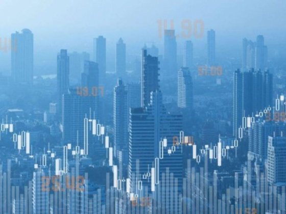 Alsenwan International Investment