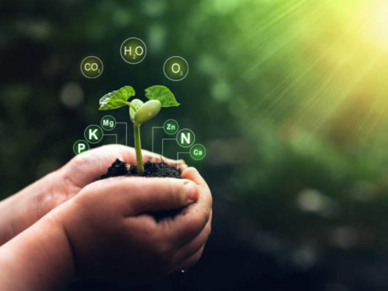 Noor Alfajr General Trading