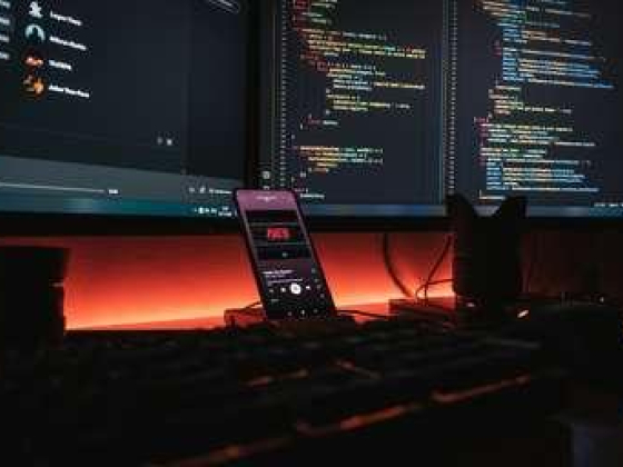 Voipbird It Services