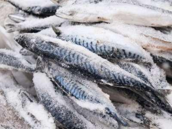 Wadi Al Rahma Foodstuff Trading