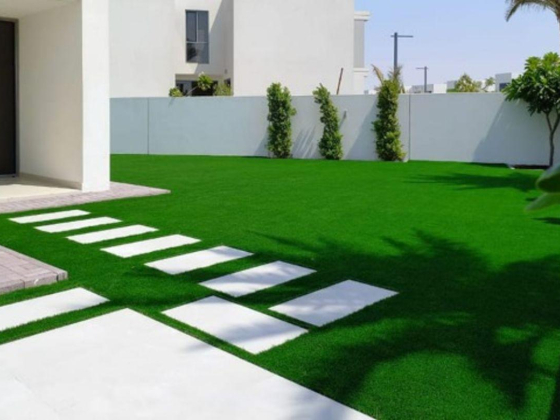 Blue City Landscaping