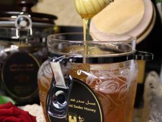 Shaya Bin Shaya For Honey