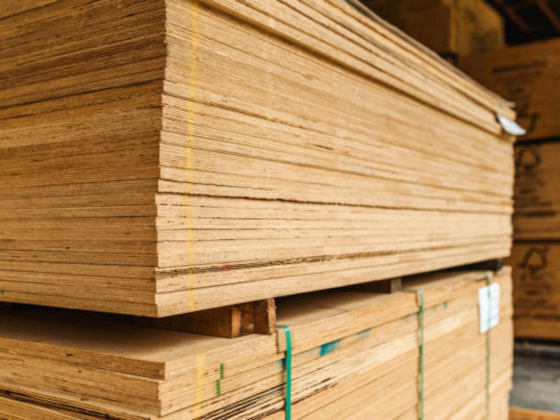 Muzris Building Materials Trading